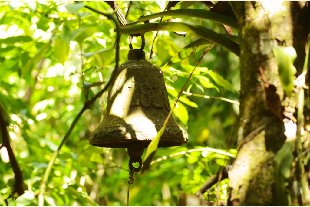 El valor de los&nbsp;errores